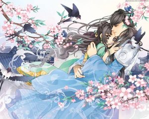 雏鸟app破解版免费